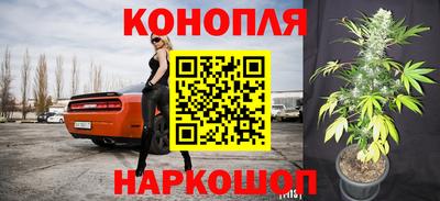 мдпв Нальчик